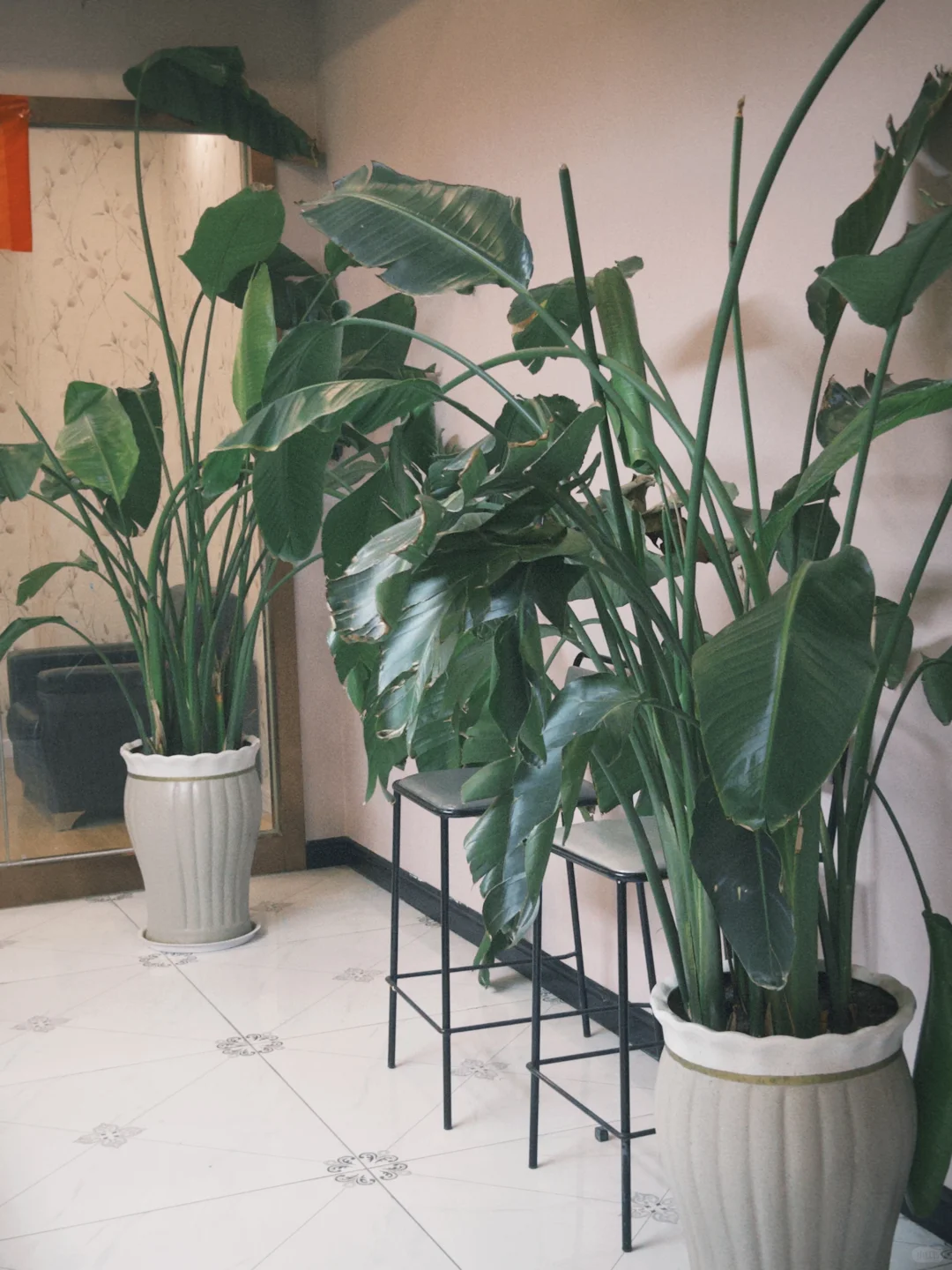 周口川汇区找工作的看过来！！！