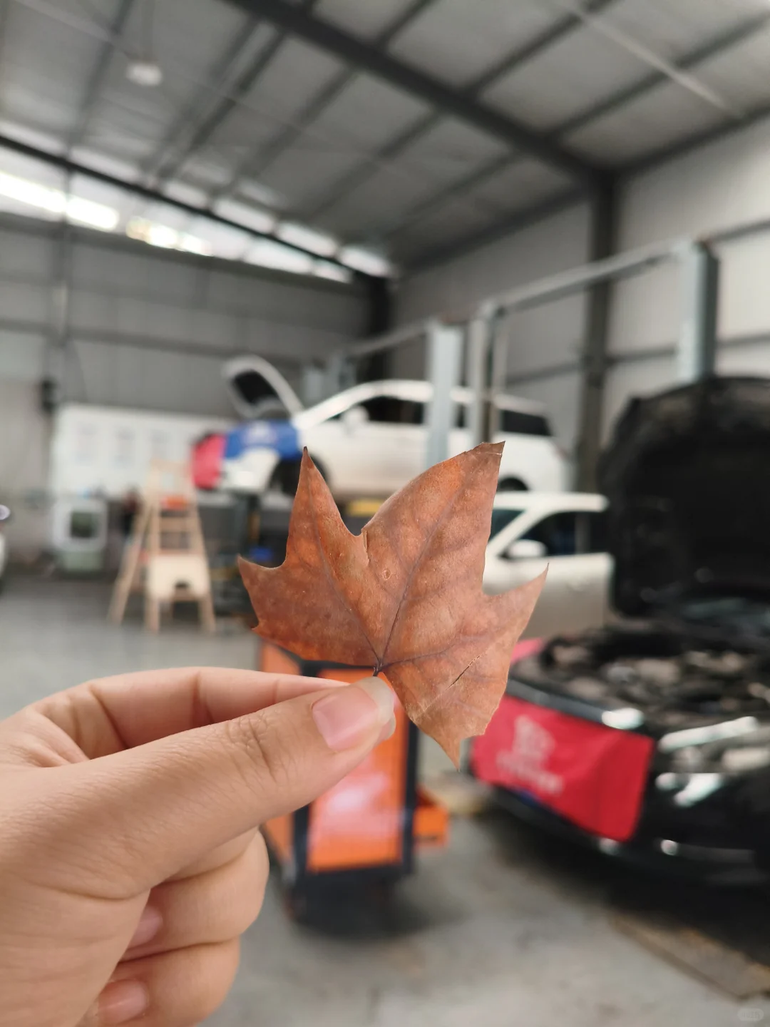 急急急郑州招聘汽修中工、学徒