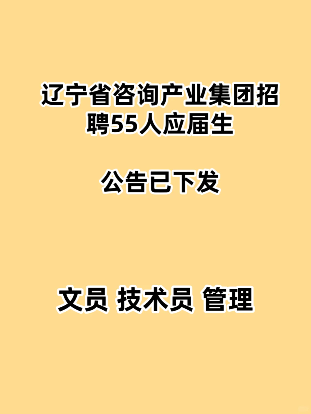 2025年辽宁省咨询产业集团招聘55人公告
