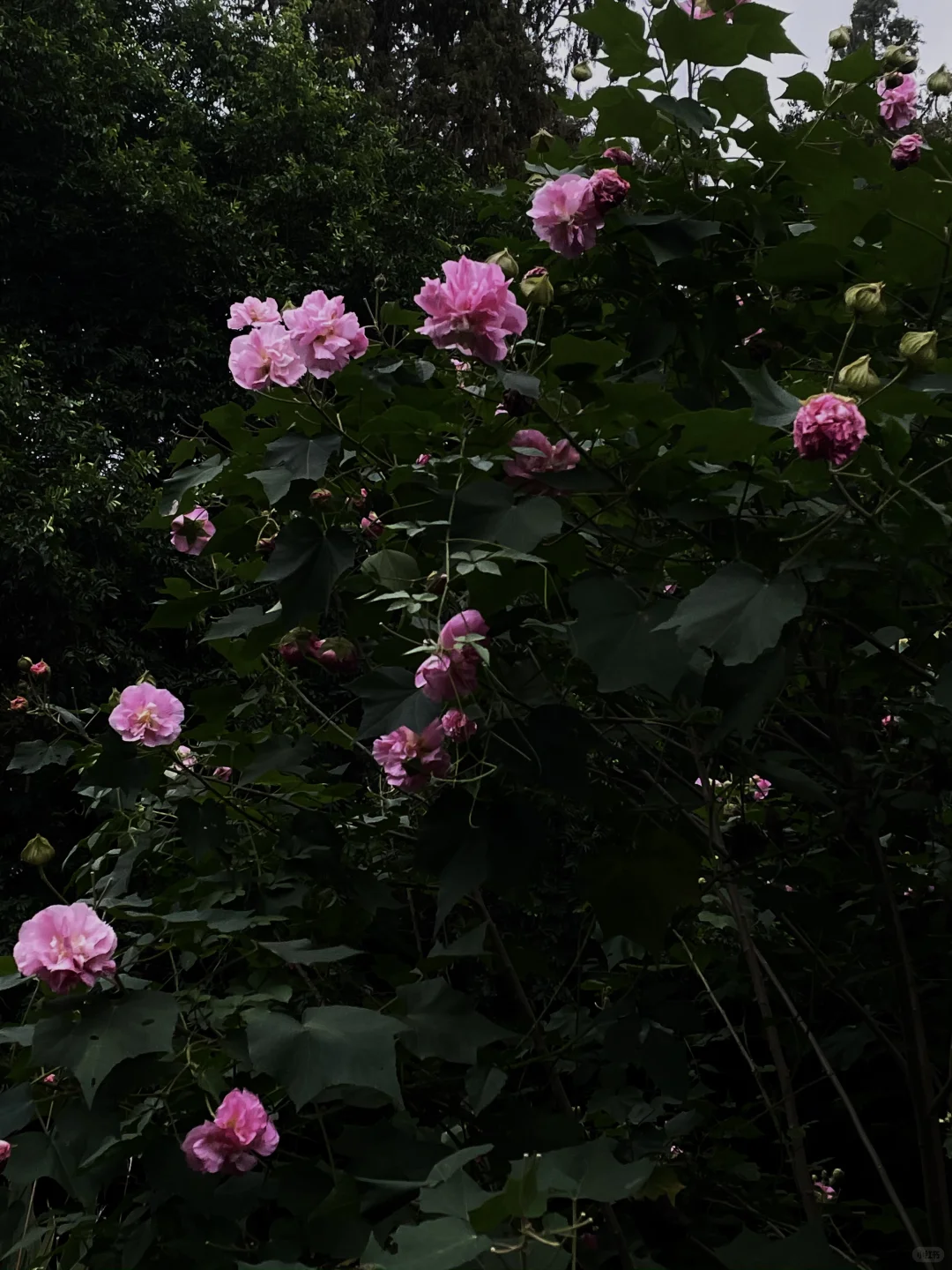 防止你失业后在杭州不知道做什么（合集