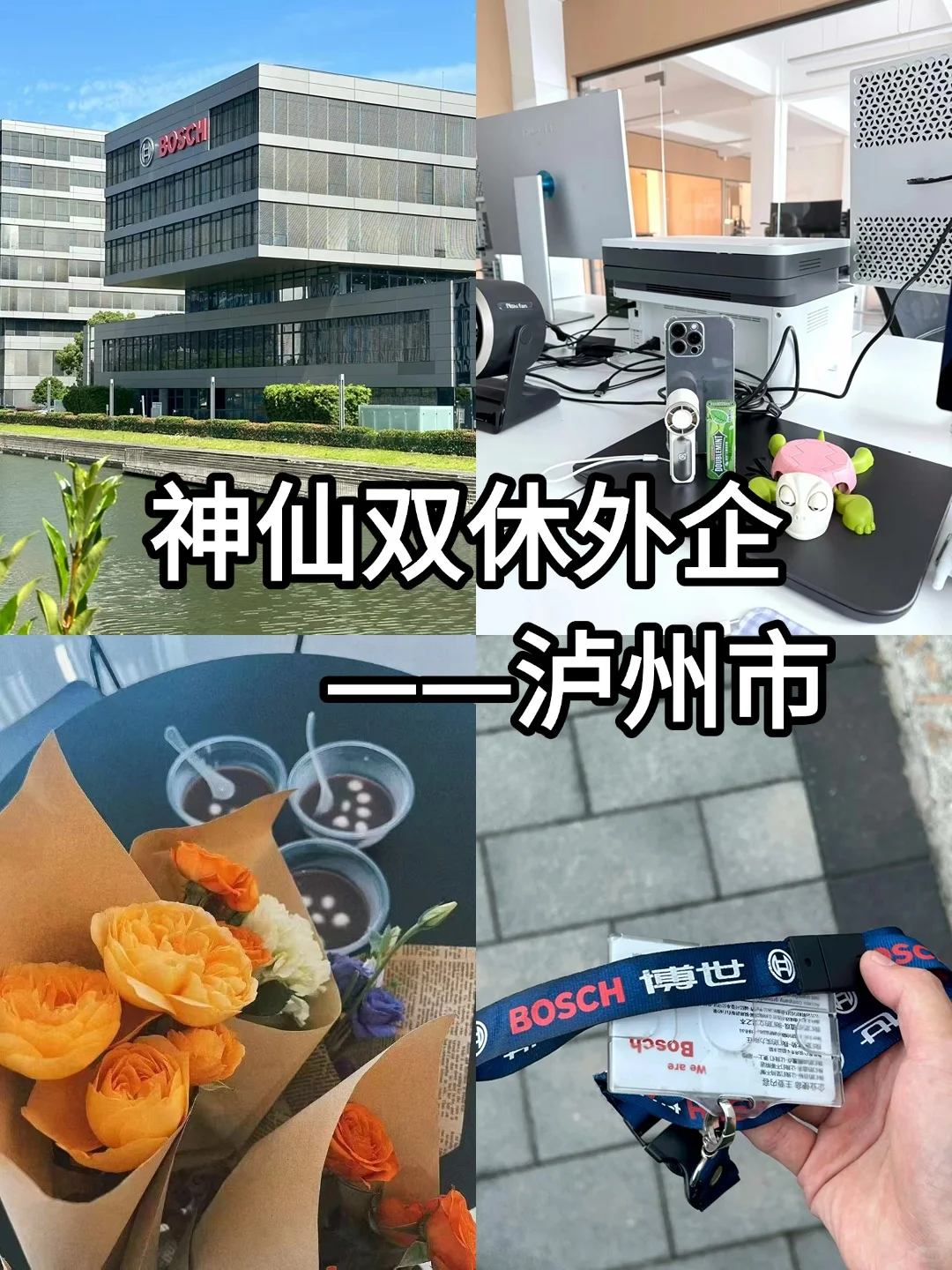 神仙双休外企——泸州市