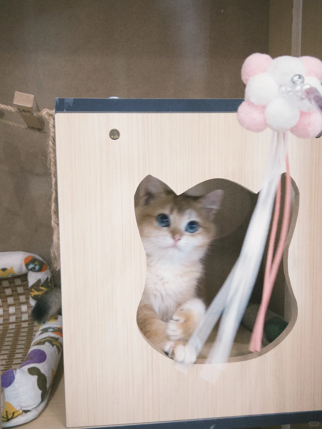 周口川汇区找工作的看过来！！！