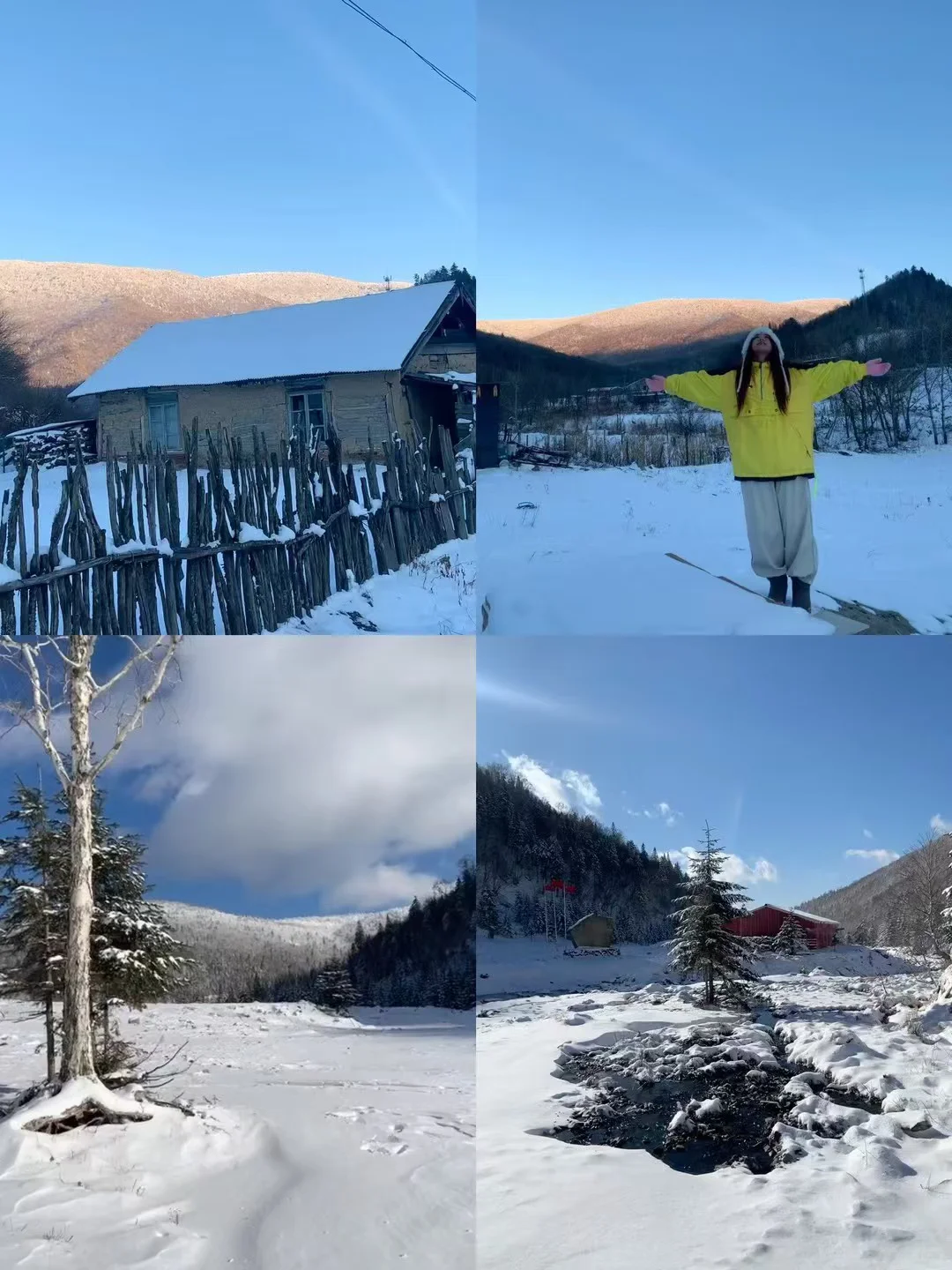 雪谷冰雪之约客栈冬季找义工