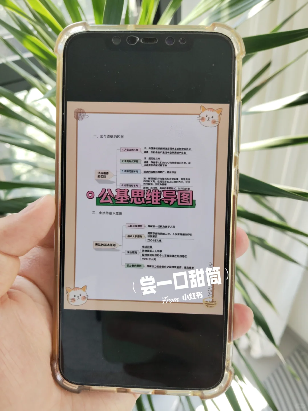 提醒一下，10.27报名河北雄安新区社区的人