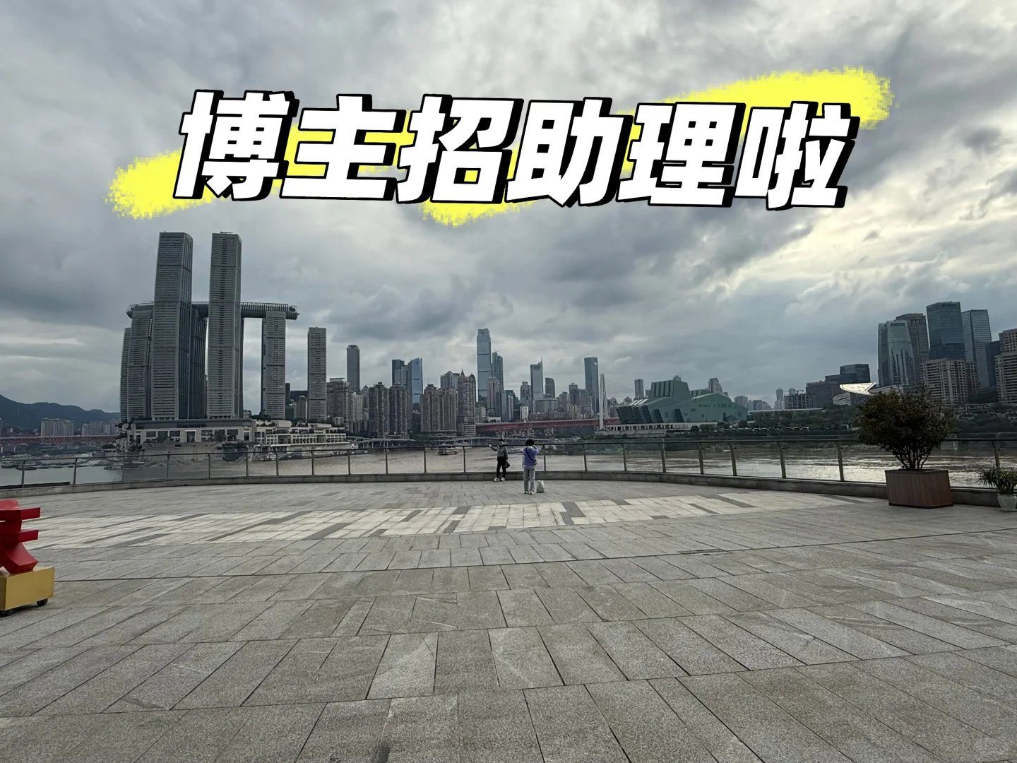 快来，重庆博主招助理啦！