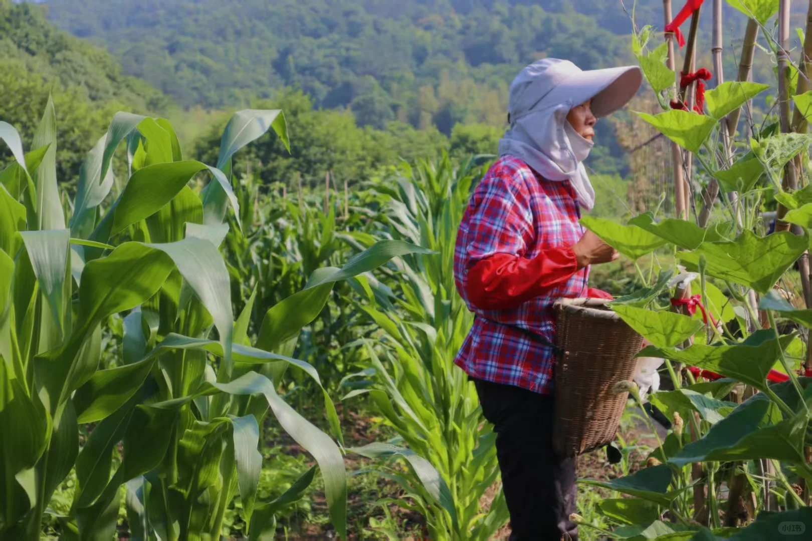绍兴找工作的看过来啦！！