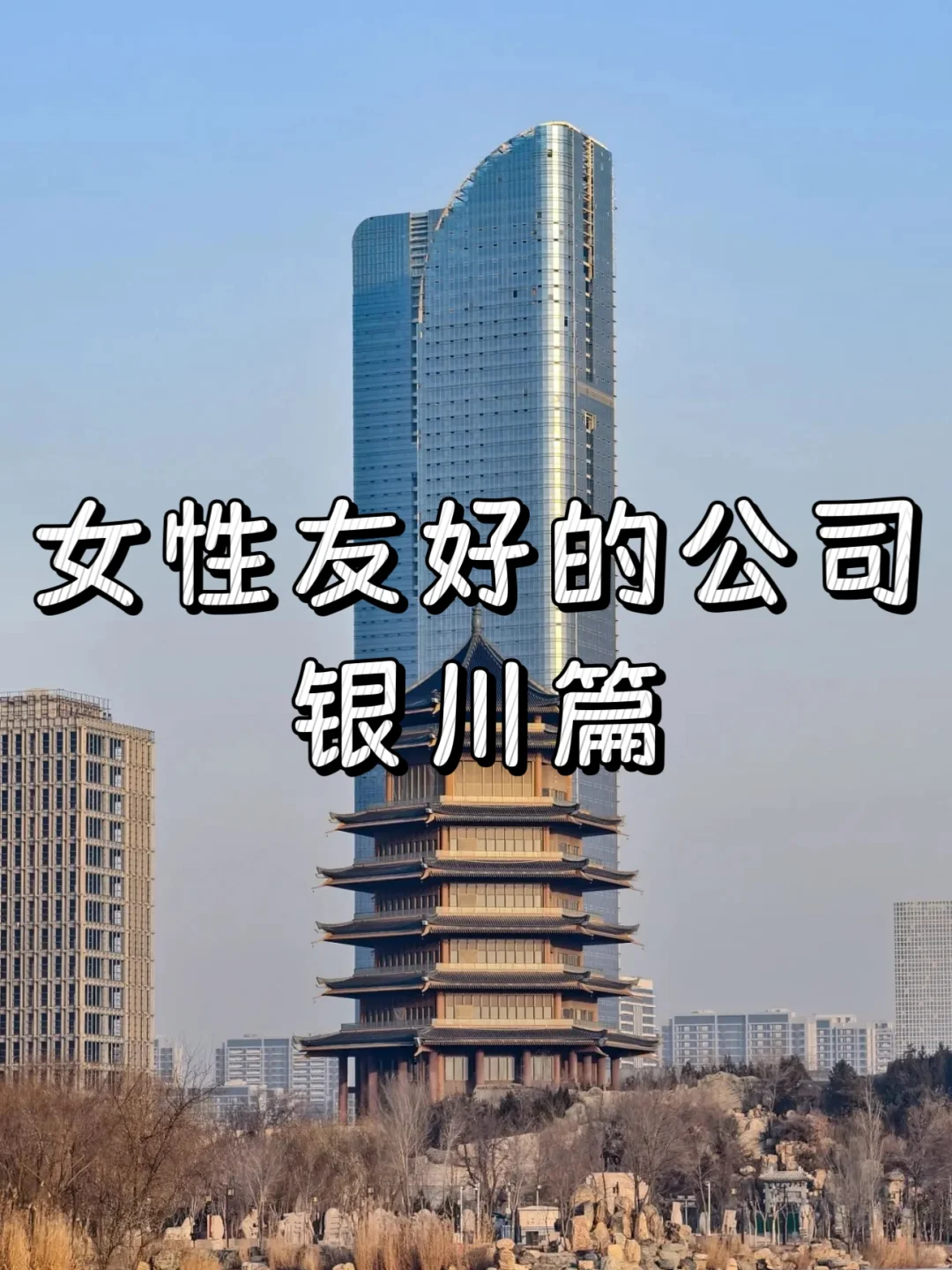 女性友好的公司：银川篇