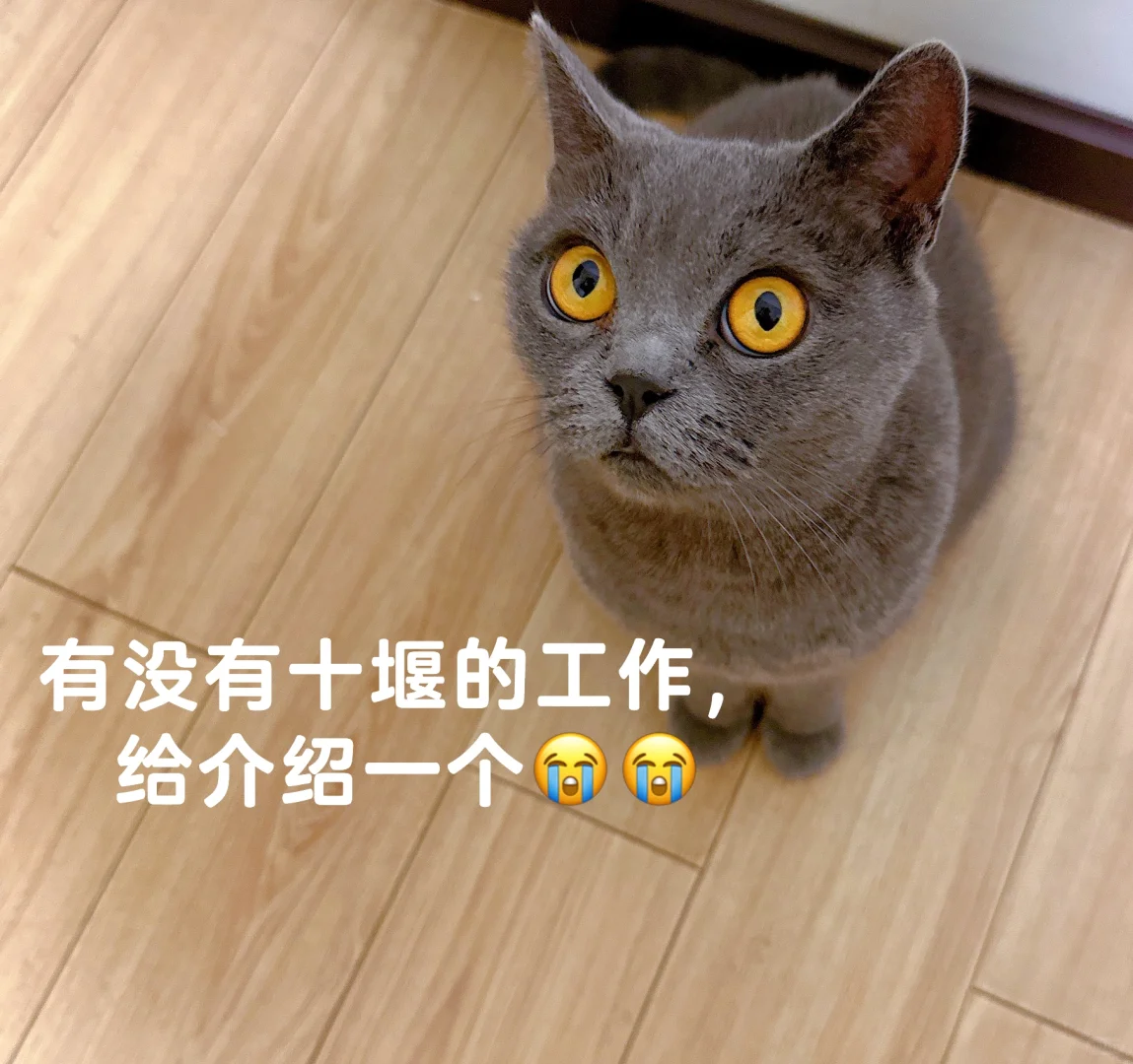 十堰有没有哪里招人啊😭😭