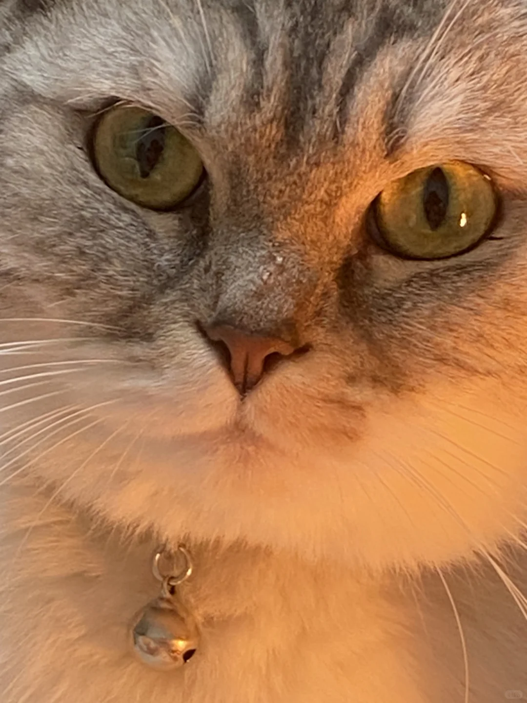 南充搬罾青山小院招聘店长（全职）