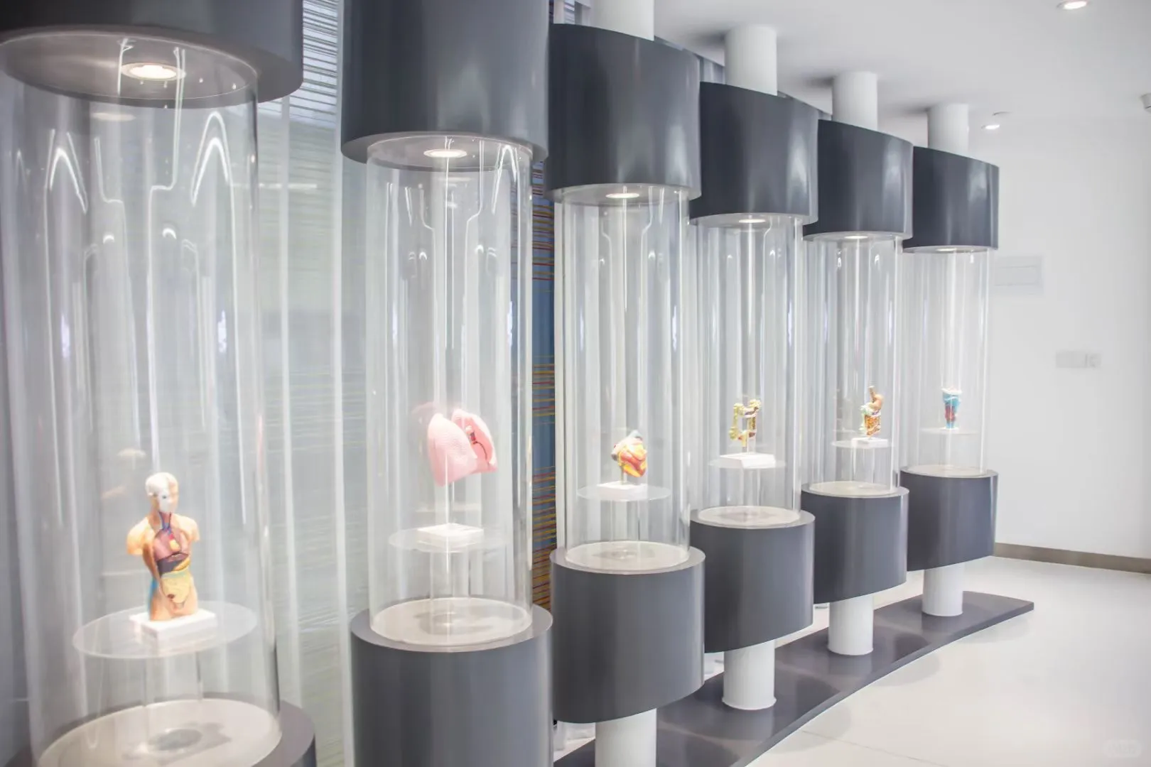 横琴医疗企业招聘！