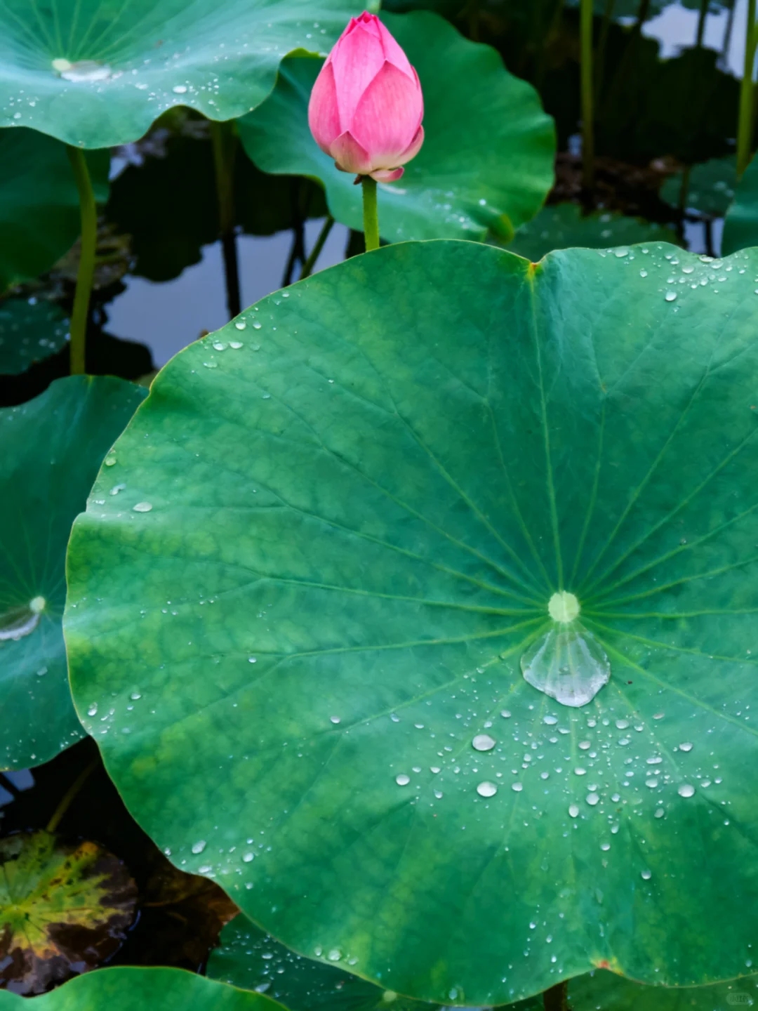 25海东乐都区社区工作者，就是在淘汰老实人