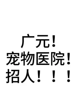 早上8.30上班，晚上8.下班
