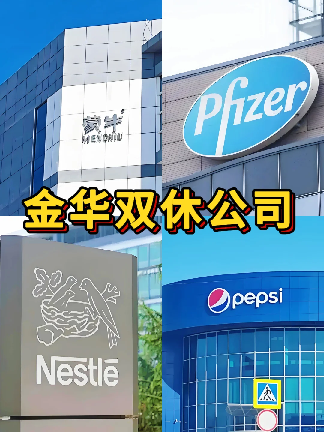 金华双休神仙公司合集来啦！打工人速码✨