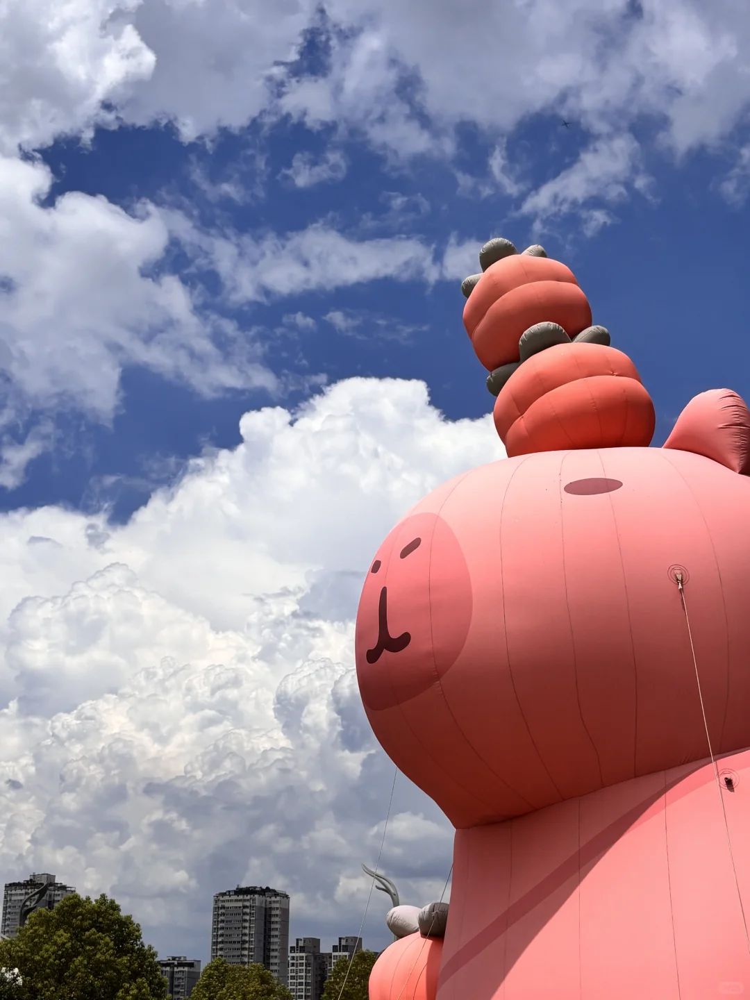 新城控股的这份offer📩 你接好啦～（附面经）