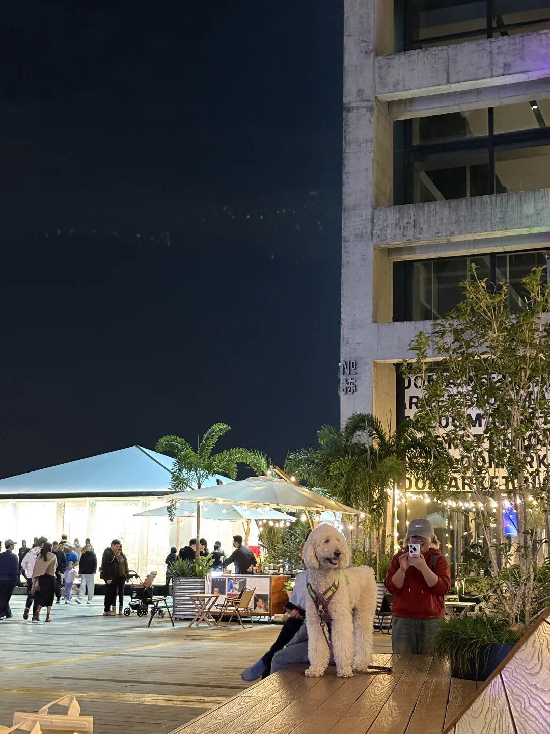 几个进了外企后才知道的岗位(文科生转行版