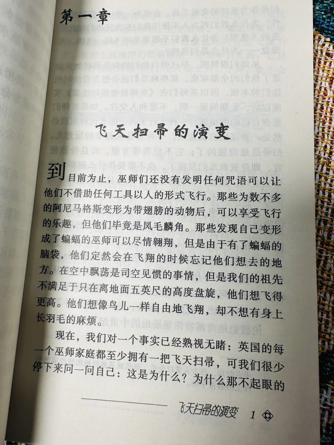 这应该是最早的《神奇的魁地奇球》了吧！！