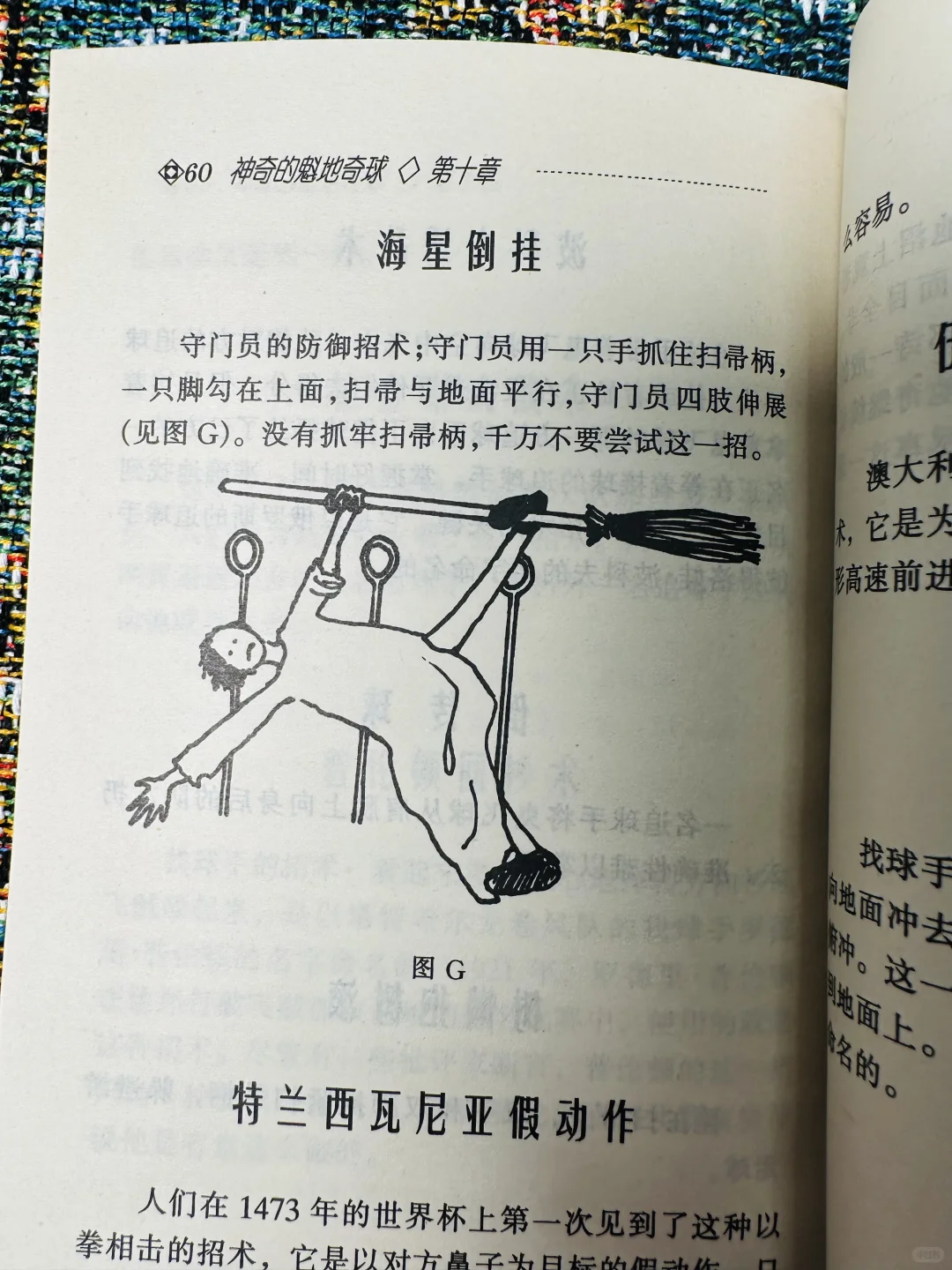 这应该是最早的《神奇的魁地奇球》了吧！！