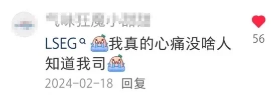 公认呆着最舒服的外企（留子总结版）