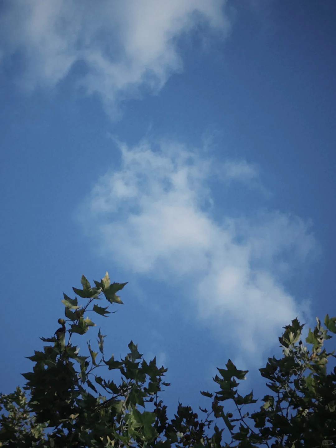 发现比失业更可怕的是不知道自己该干什么