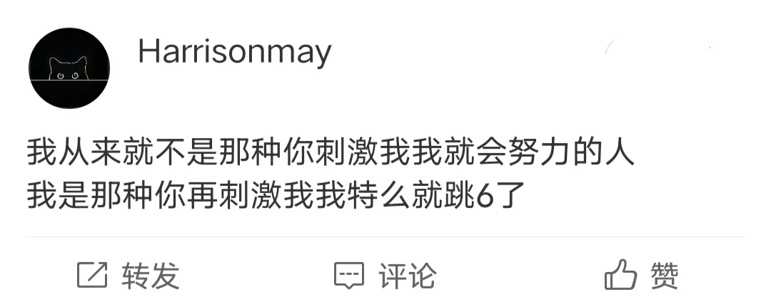 我从来就不是那种你刺激我我就会努力的人