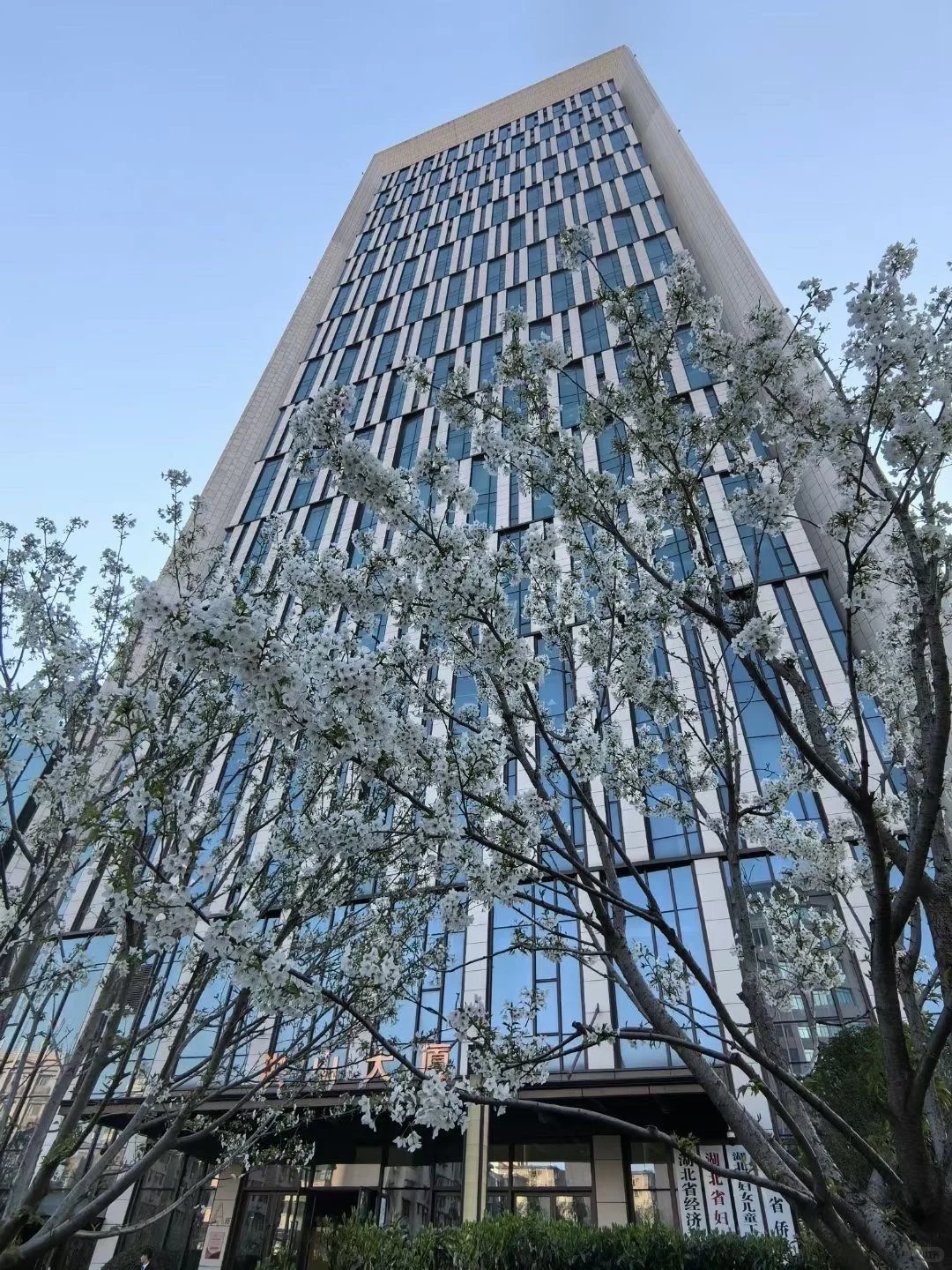 湖北省属二级国企it团队刚开始组建中