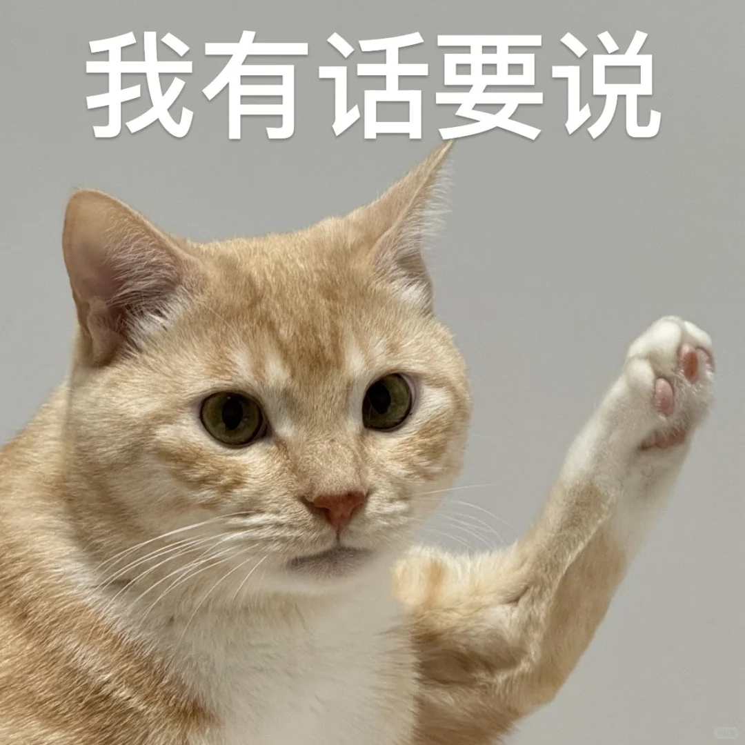 百色市右江区招聘