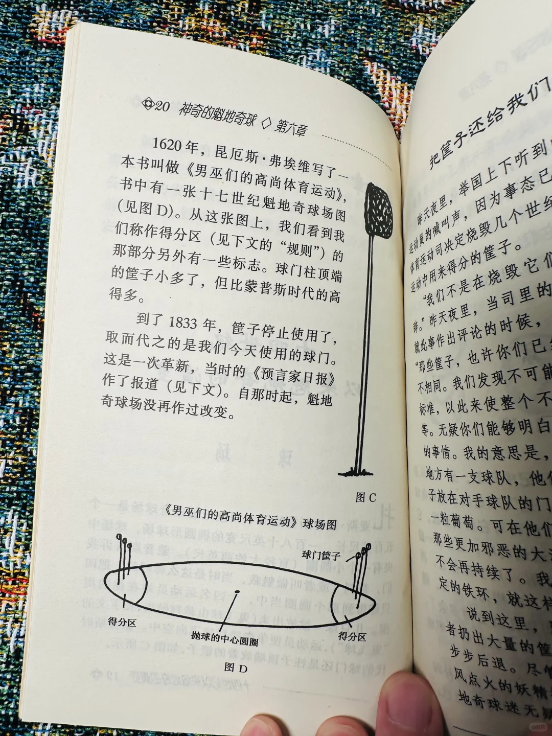 这应该是最早的《神奇的魁地奇球》了吧！！