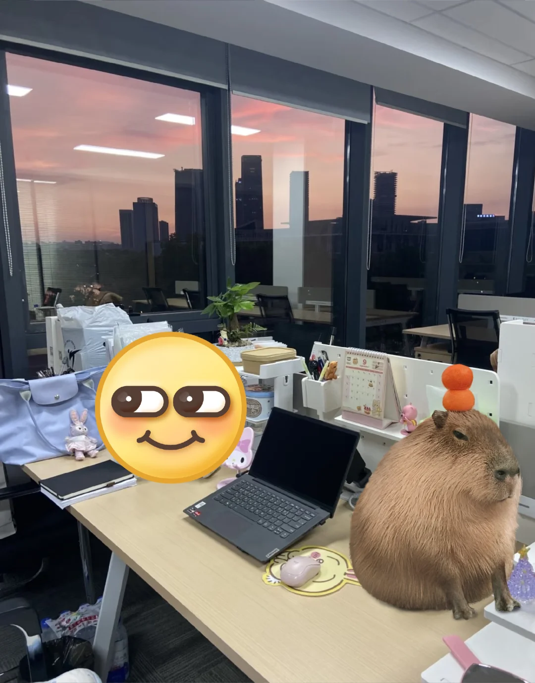 长沙 双休 至少到手6000 无经验🉑