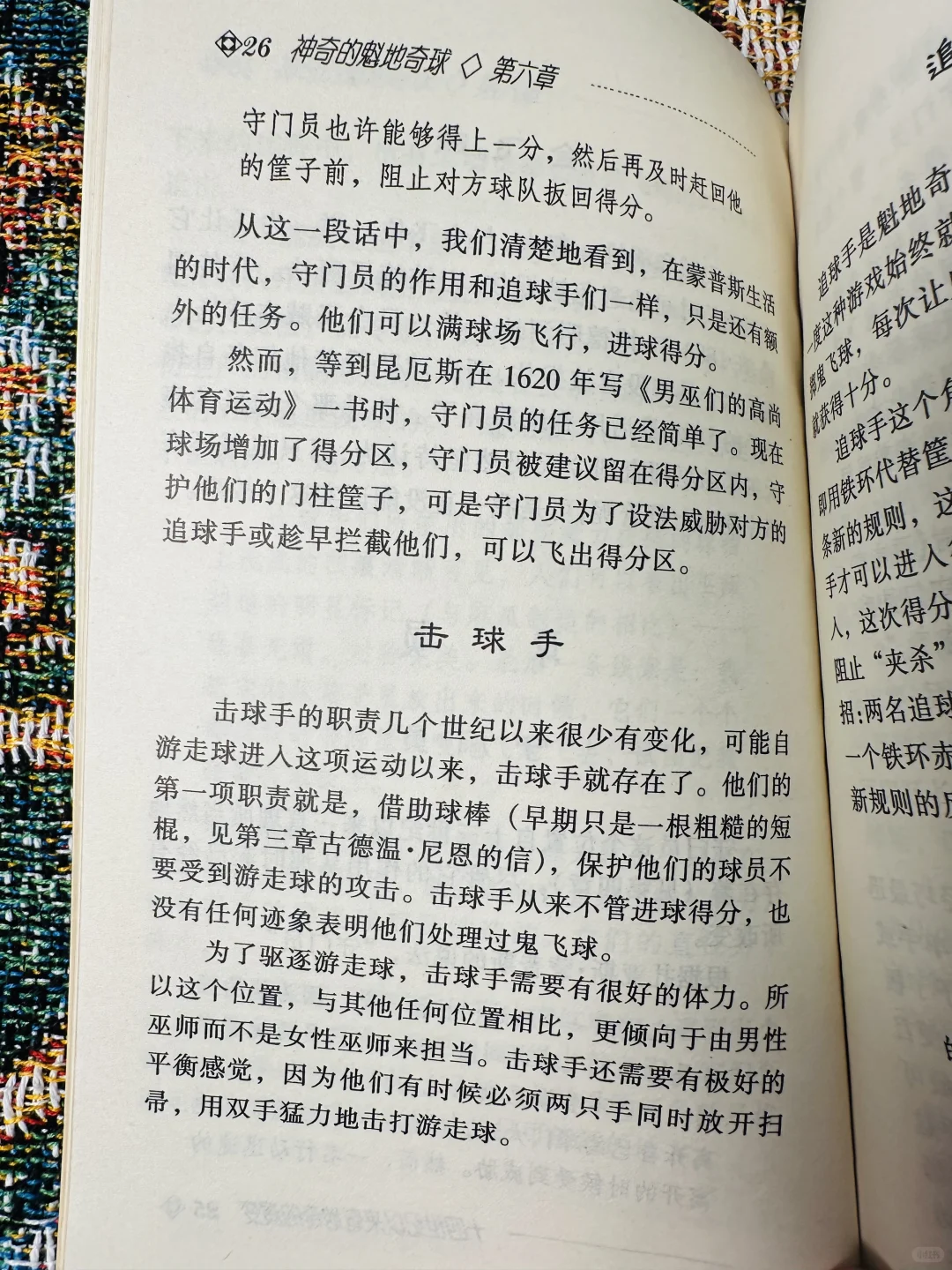 这应该是最早的《神奇的魁地奇球》了吧！！