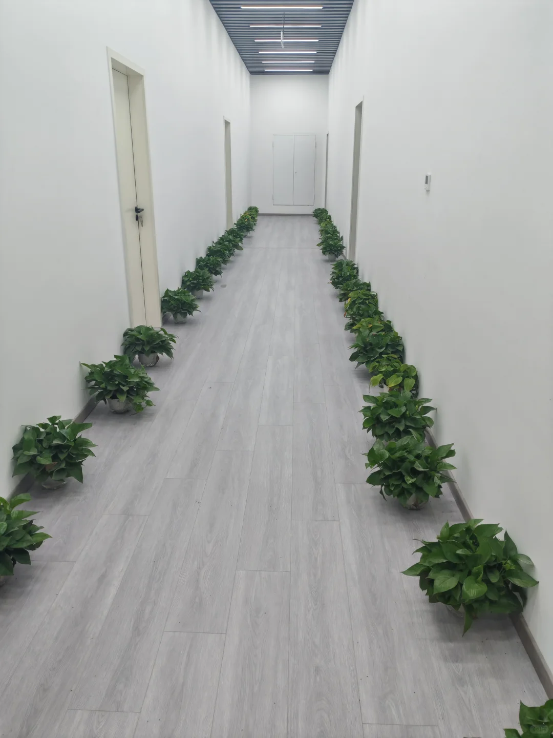 金华婺城同城招聘