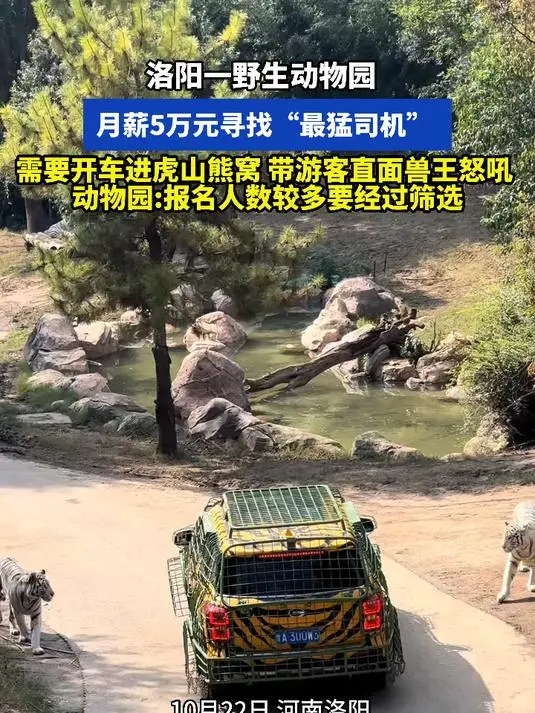 动物园“月薪5万招聘猛兽区司机”？