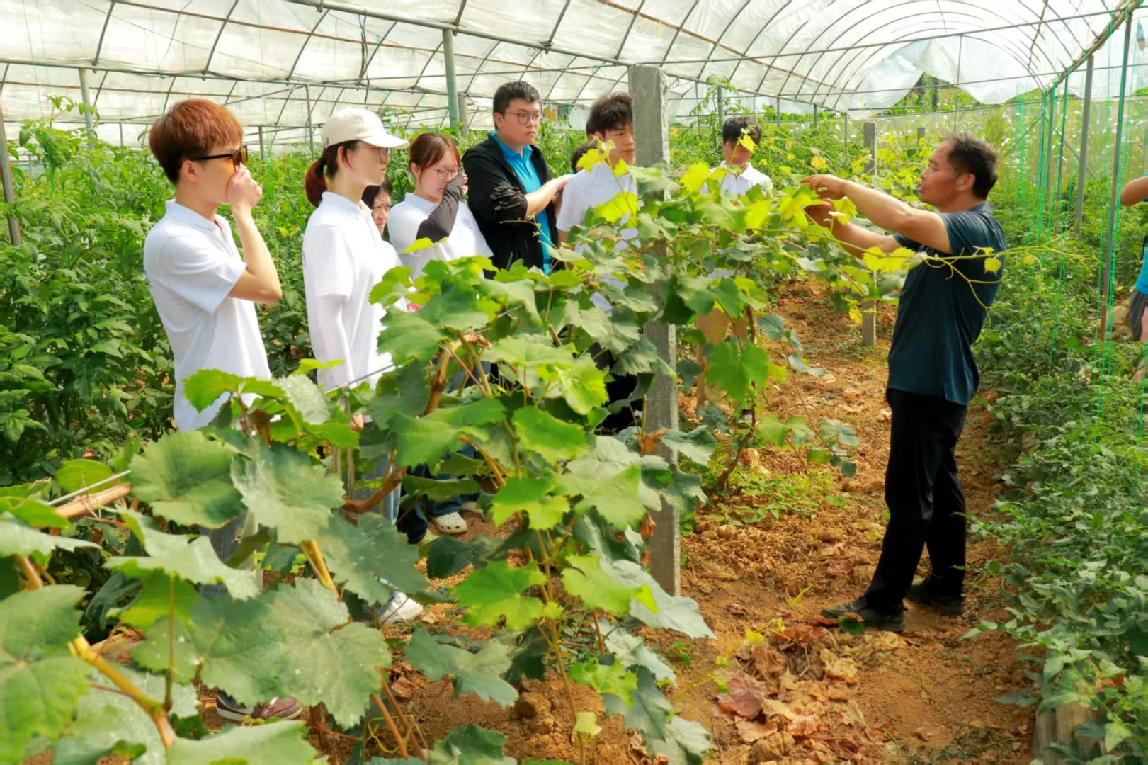 田间授课传经送宝话增收