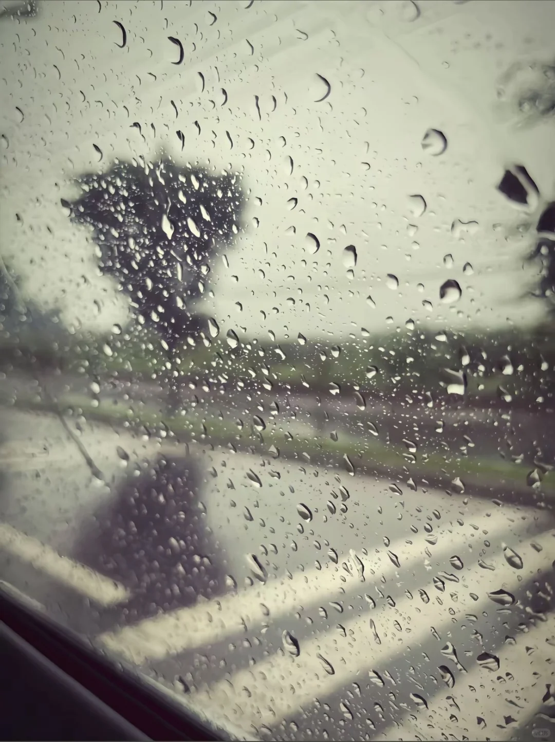 洛阳招聘 早九晚六🌧️