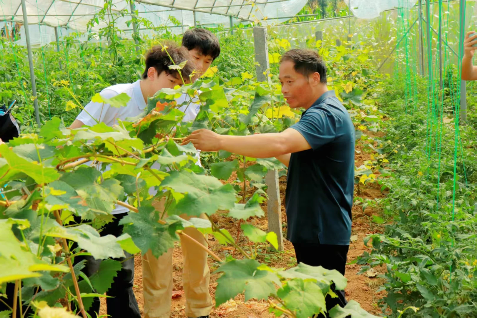 田间授课传经送宝话增收