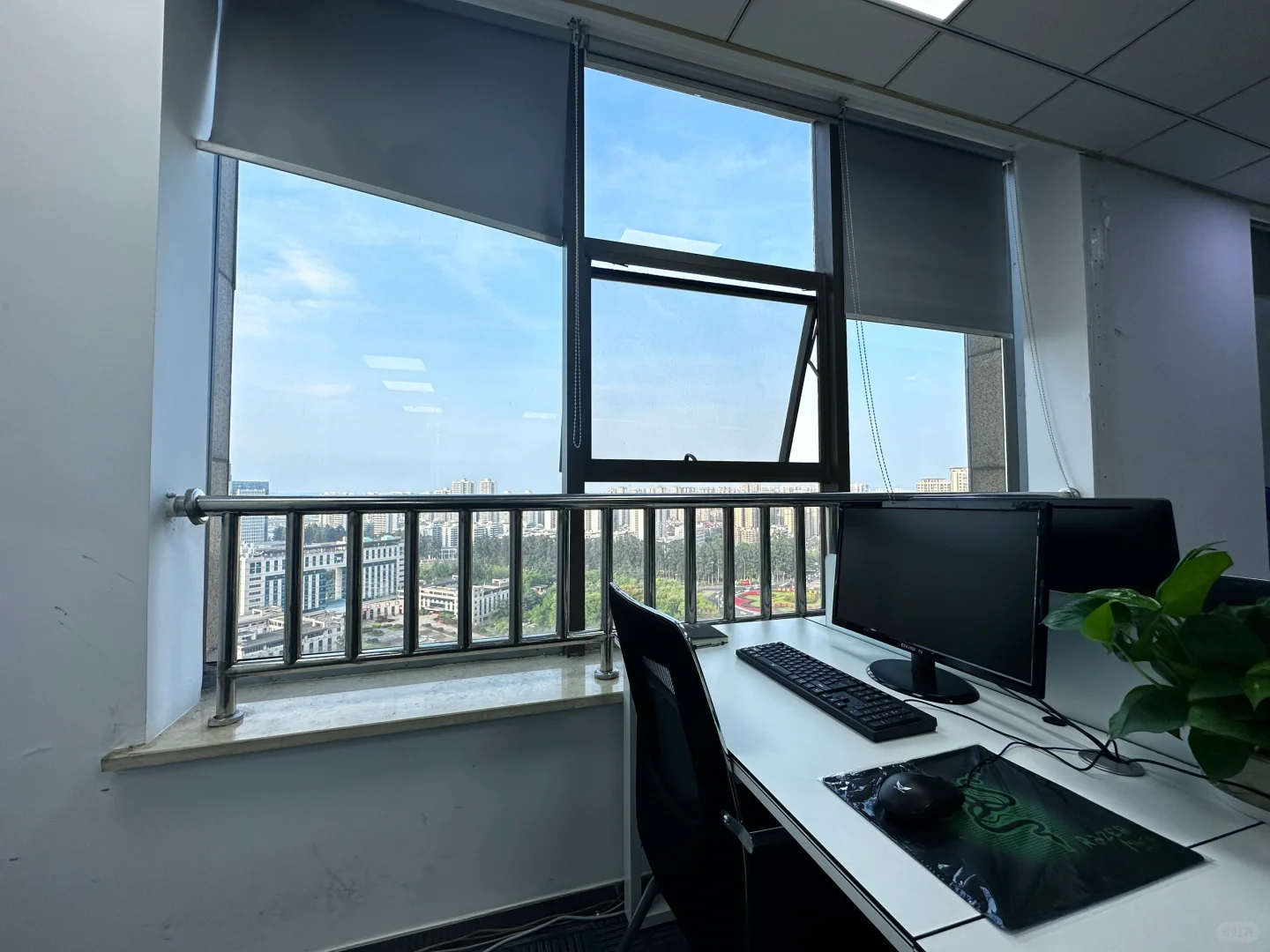 东坡招聘全职/接受小白/早九晚六/欢迎宝妈/