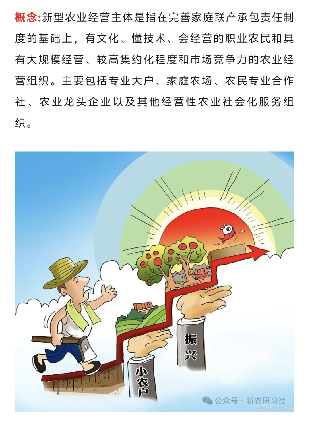 新型农业经营主体