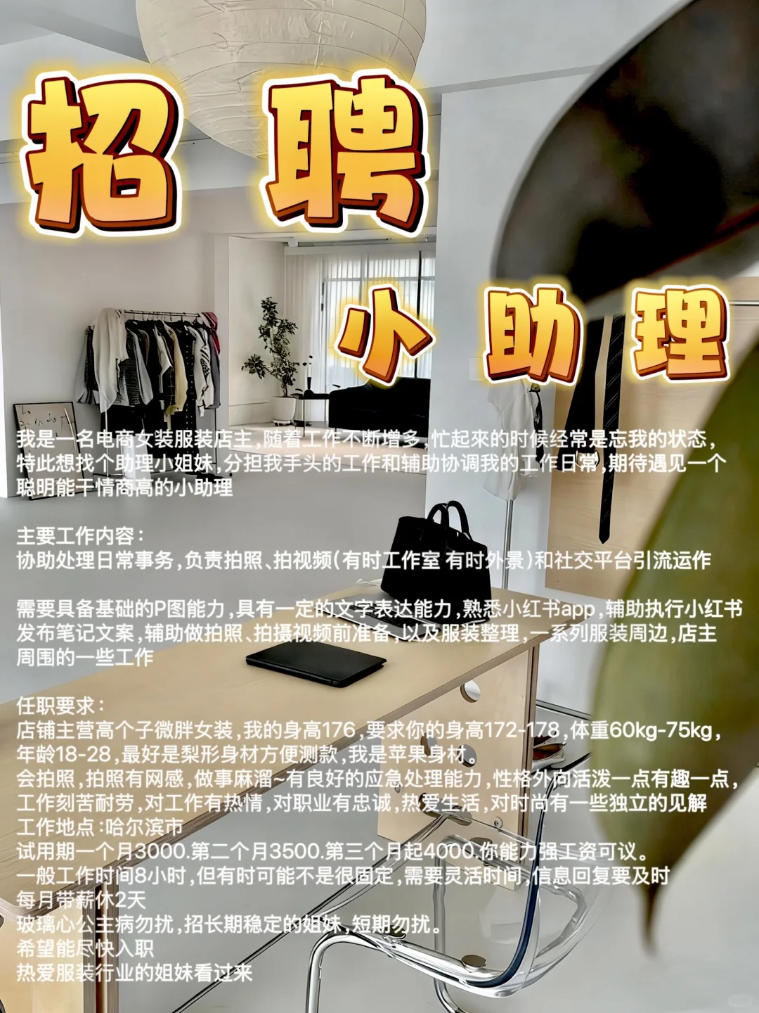 招助理❗️ 高个子微胖❗️ 哈尔滨的❗️