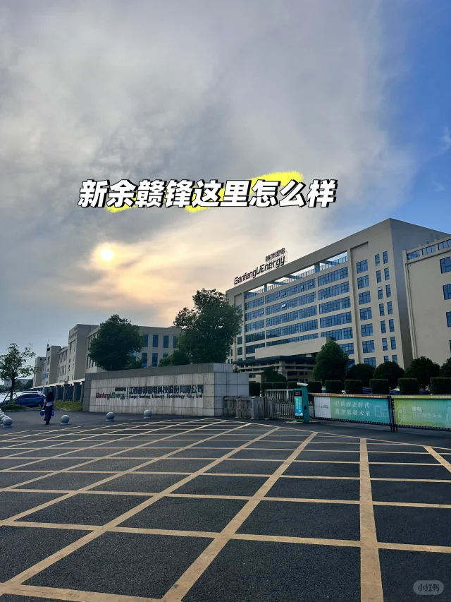 新余的赣锋怎么样