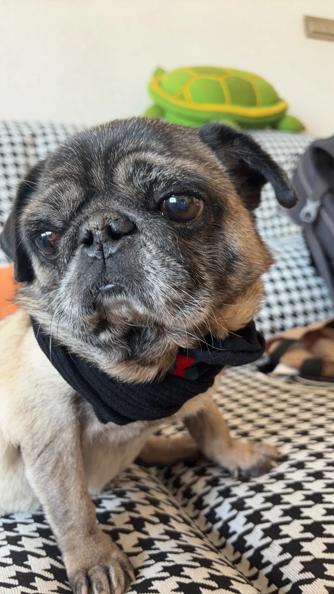 榆次找一个短期保姆，不住家