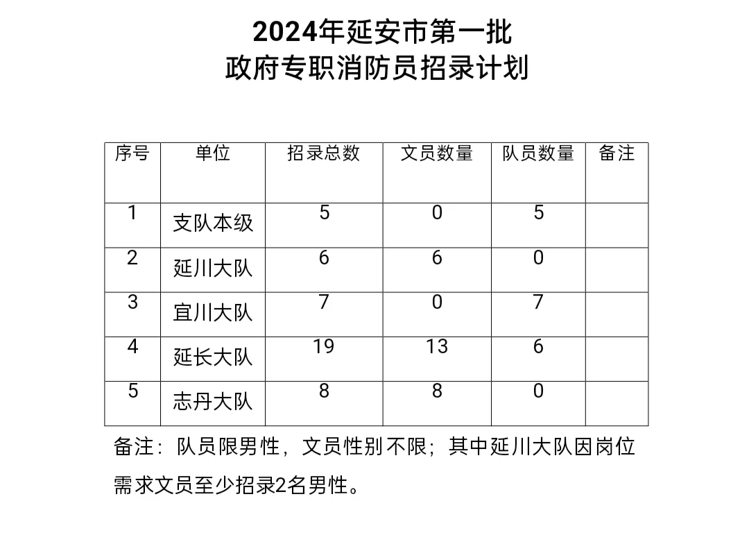 延安市消防救援支队2024