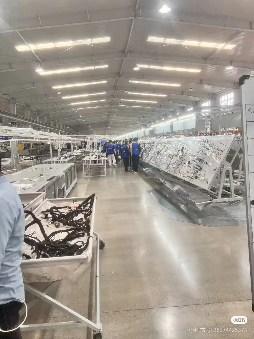 鹤壁天海环球招聘