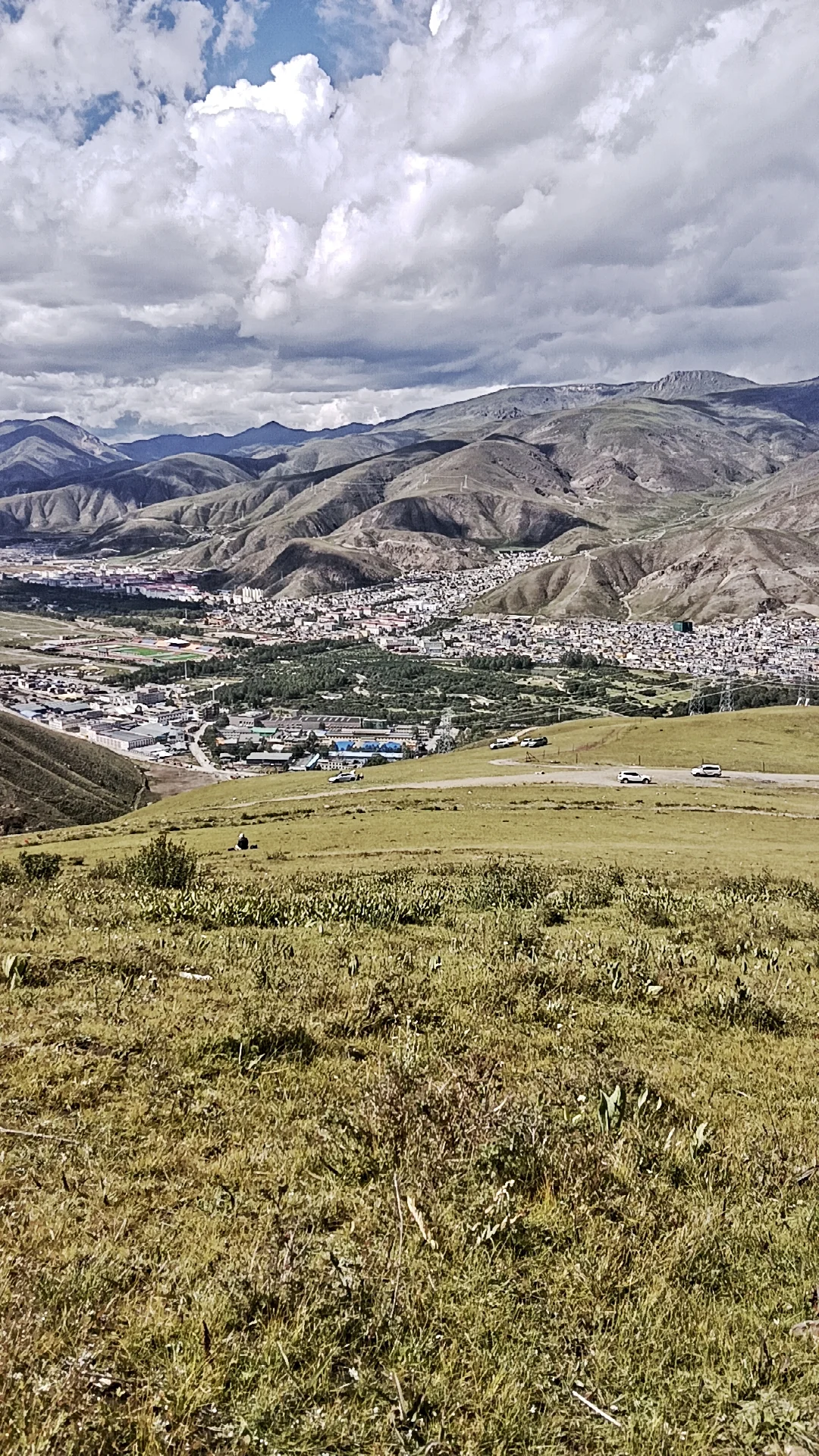 05女大玉树挂壁日常
