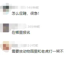 月薪5万元，一动物园招司机