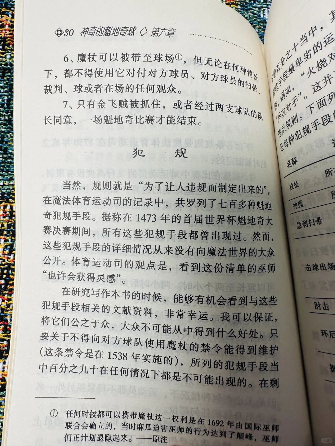 这应该是最早的《神奇的魁地奇球》了吧！！