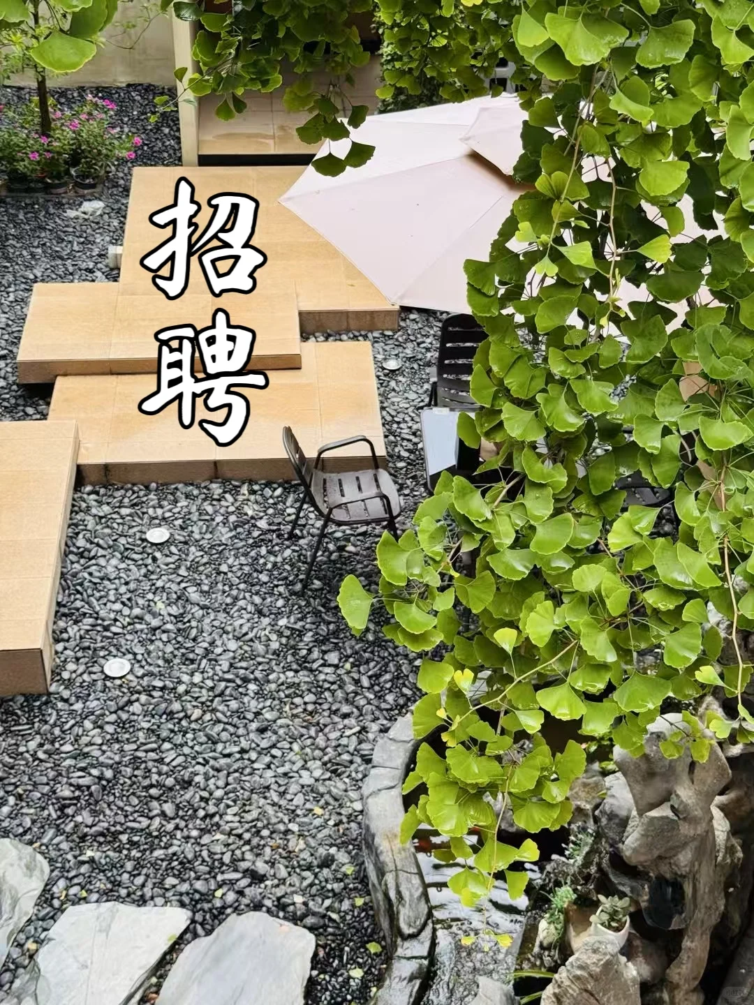 🌟零英语要求！跨境电商运营专员招募令