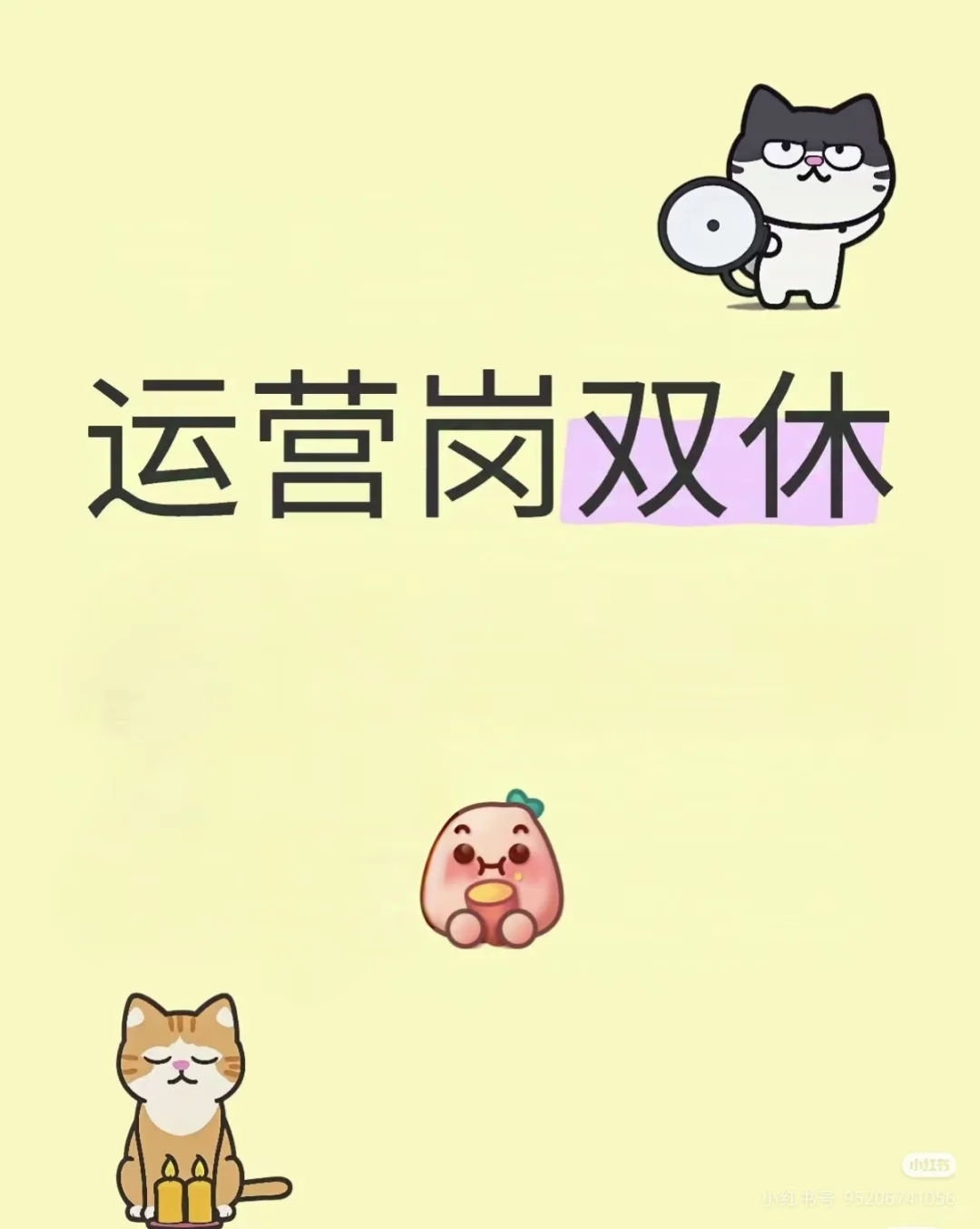 西安诚招聘运营岗位