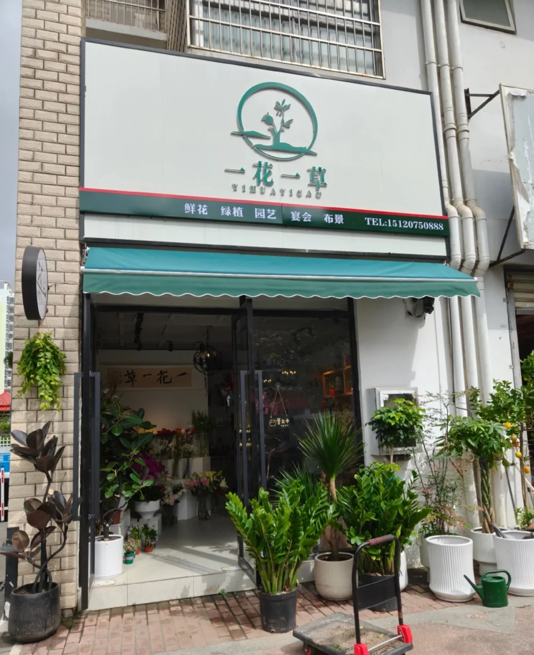 石家庄花店店员招聘