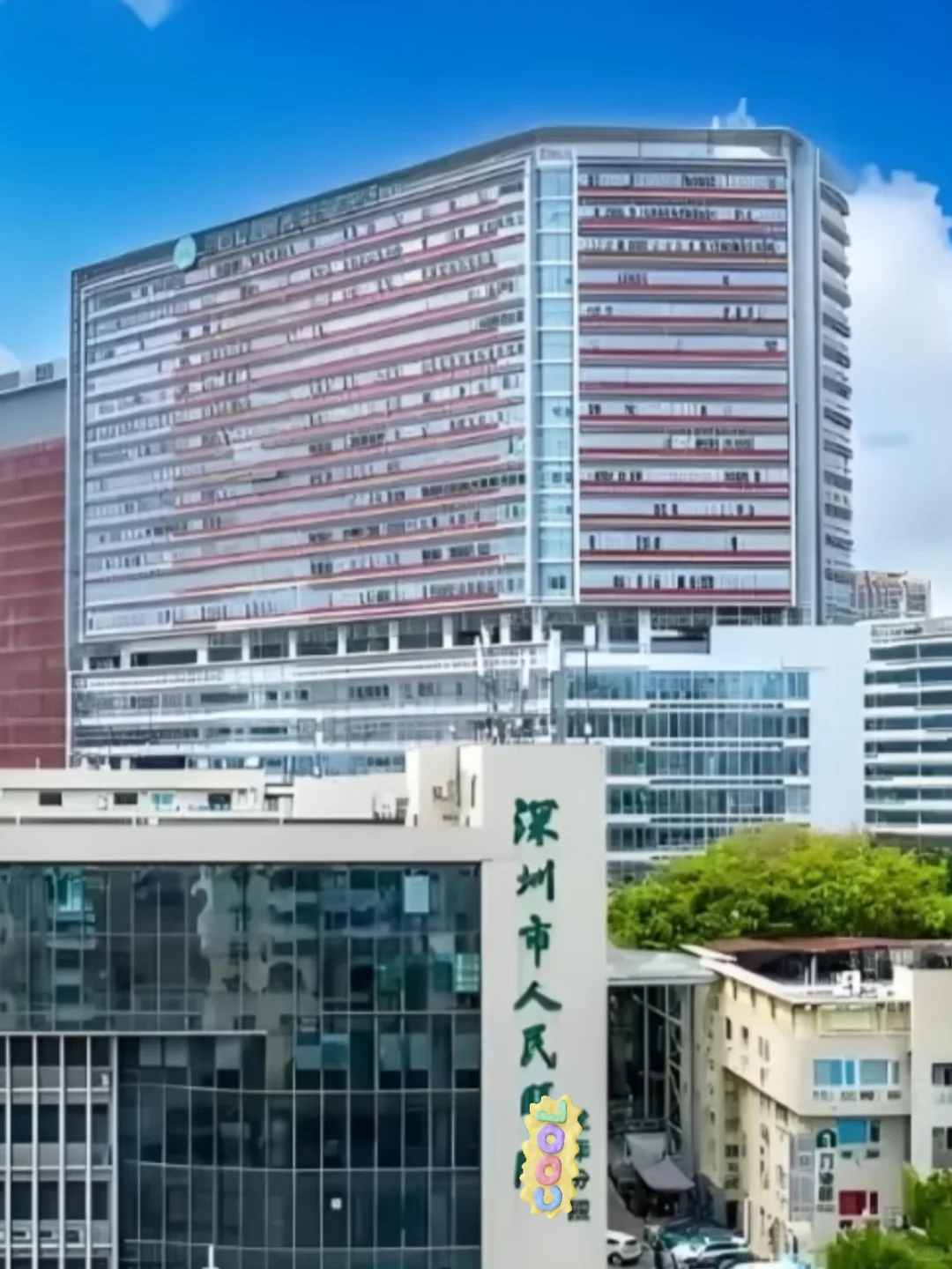 深圳市公立🏥招以下岗位