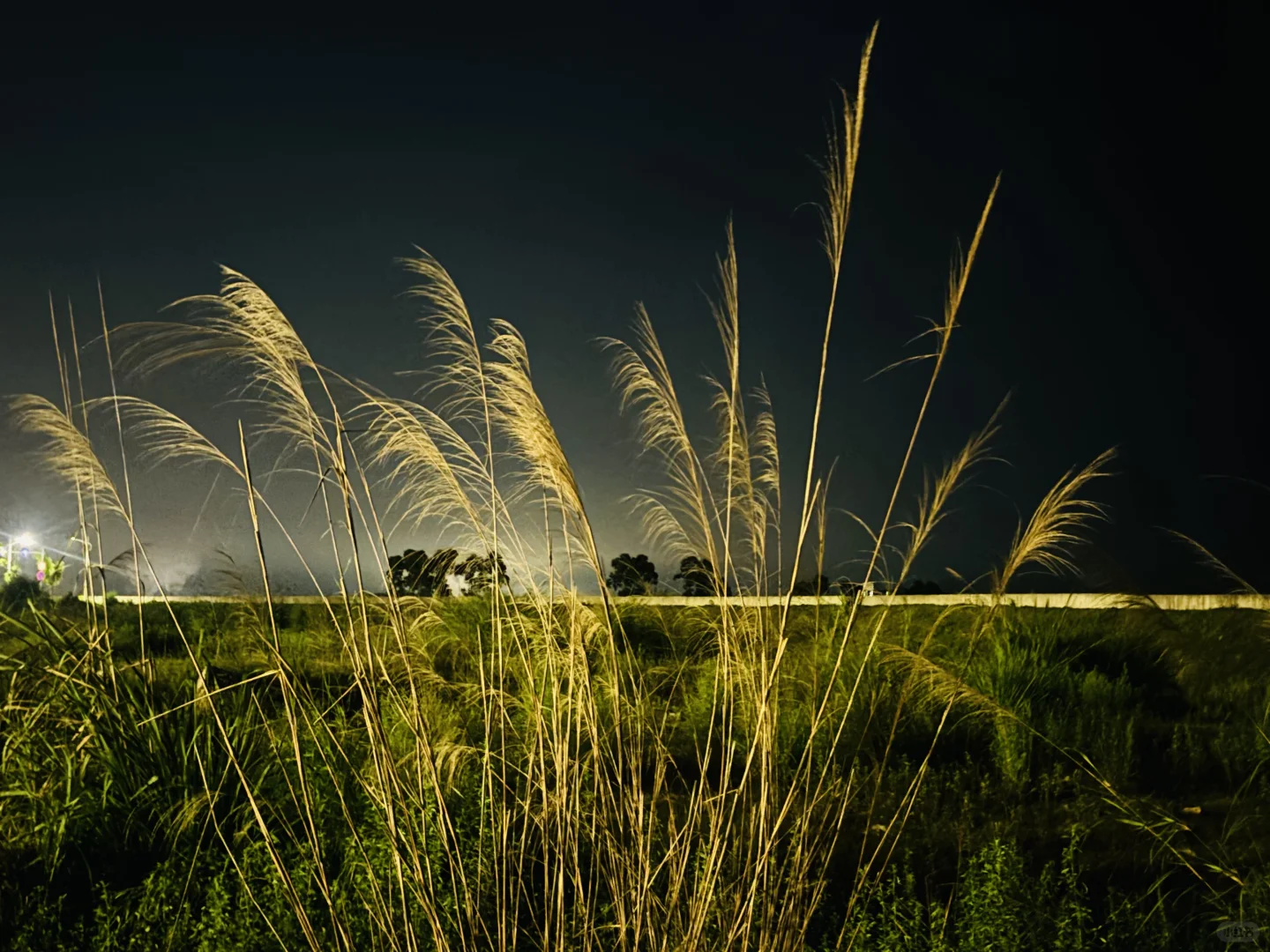 诚招服务员/兼职