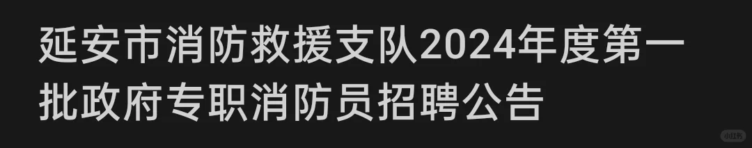 延安市消防救援支队2024